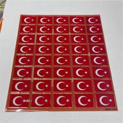TBS 02