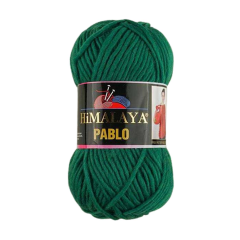 Himalaya Pablo El Örgü İpliği 100 gr