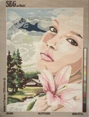 Seg Baskılı Goblen 929 477 Altitude 45x60cm Tablo Pano