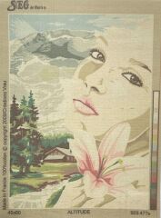 Seg Baskılı Goblen 929 477 Altitude 45x60cm Tablo Pano Sadece Goblen Kumaşı SORUNSUZ