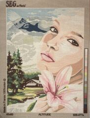 Seg Baskılı Goblen 929 477 Altitude 45x60cm Tablo Pano Sadece Goblen Kumaşı SORUNSUZ