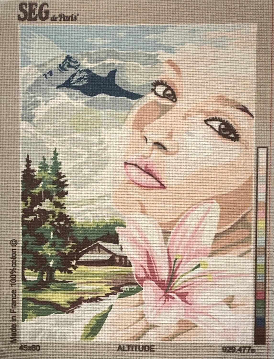 Seg Baskılı Goblen 929 477 Altitude 45x60cm Tablo Pano Sadece Goblen Kumaşı SORUNSUZ