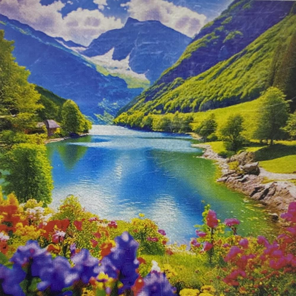 5D Yapışan Boncuk Mozaik Tablo 40*50 cm S2