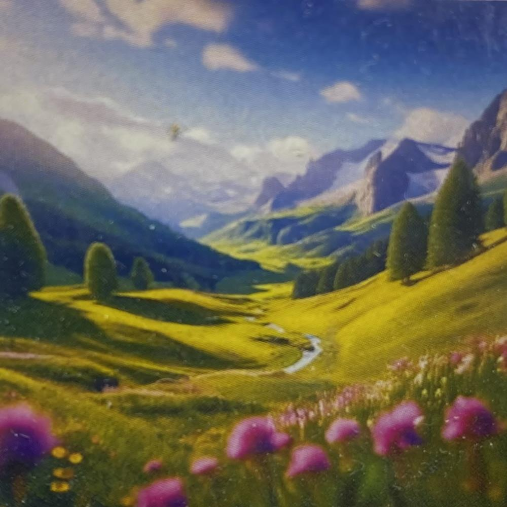 5D Yapışan Boncuk Mozaik Tablo 40*50 cm S16