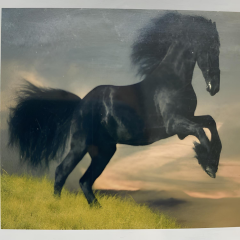 5D Yapışan Boncuk Goblen 30 x 40 cm Mozaik Tablo Pano 60415