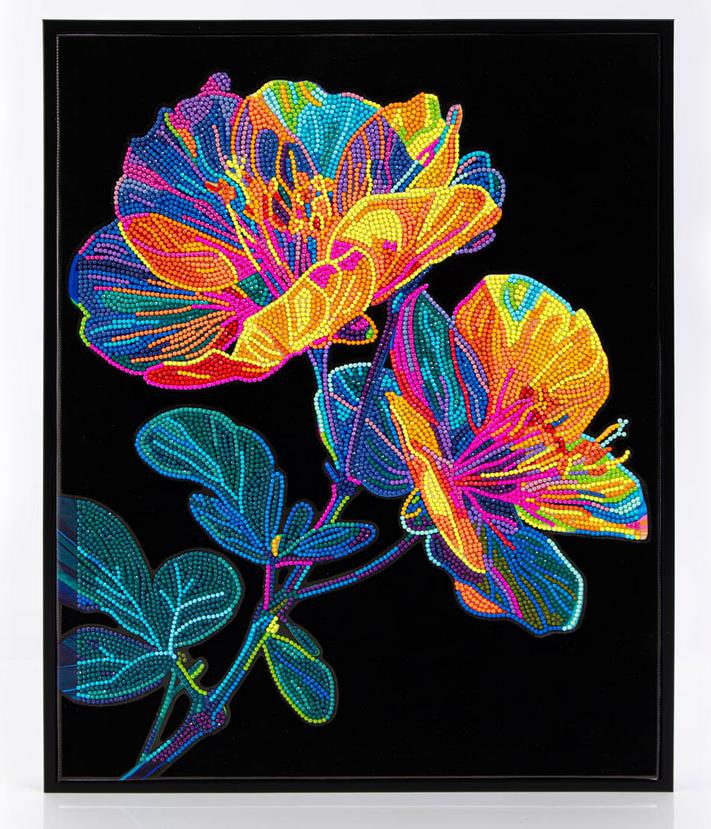 Diamond Dotz 5D Yapışan Boncuk Mozaik Tablo 43,5*53,7 cm DD25.007