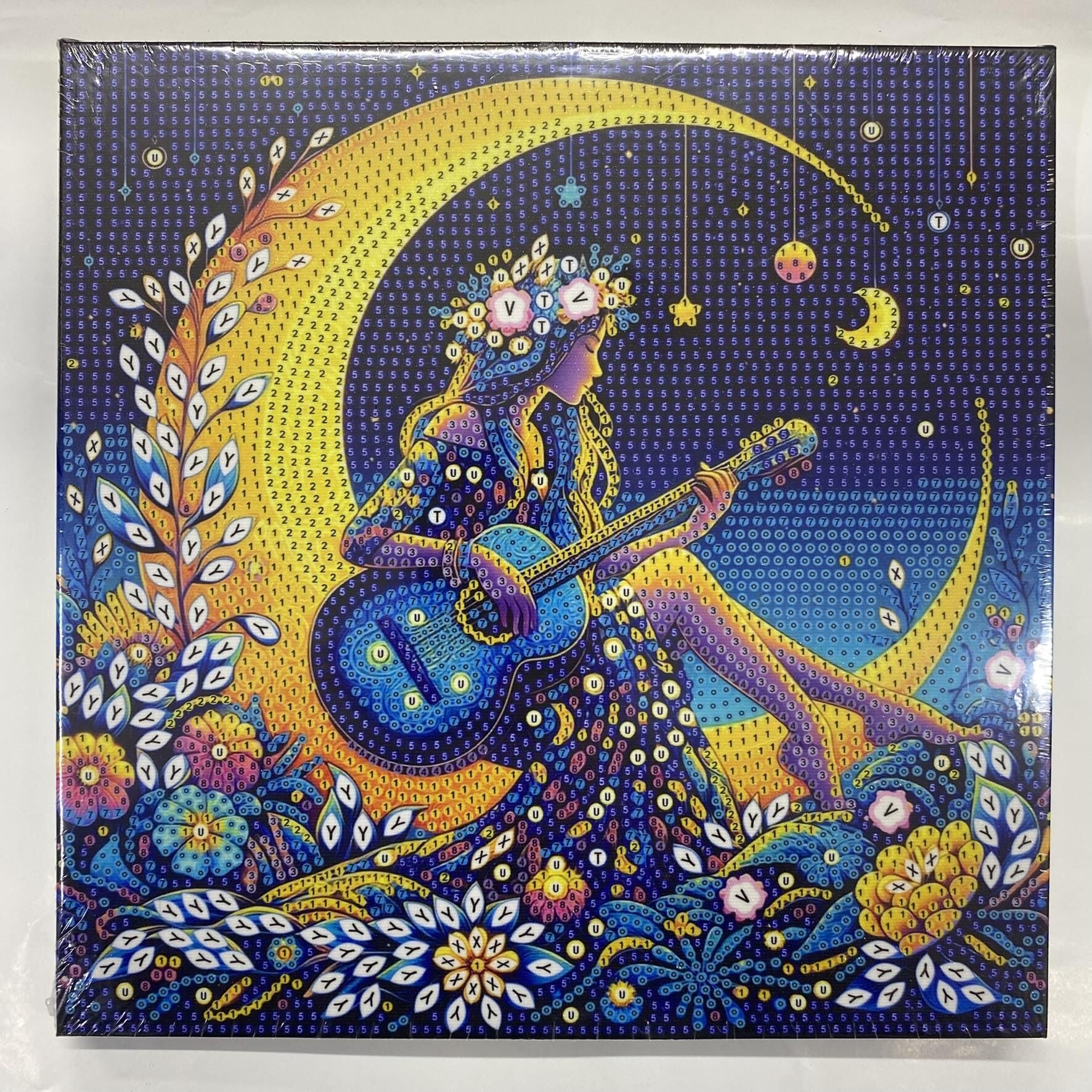 Tuval 5D Yapışan Boncuk Mozaik Tablo 25*25 cm LM21