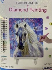 5D Yapışan Boncuk Goblen Mozaik Tablo Pano 21*25 cm JA20929