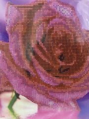 5D Yapışan Boncuk Goblen Mozaik Tablo Pano 21*25 cm JA20058