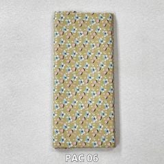 PAC 06